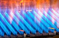 Cloddiau gas fired boilers